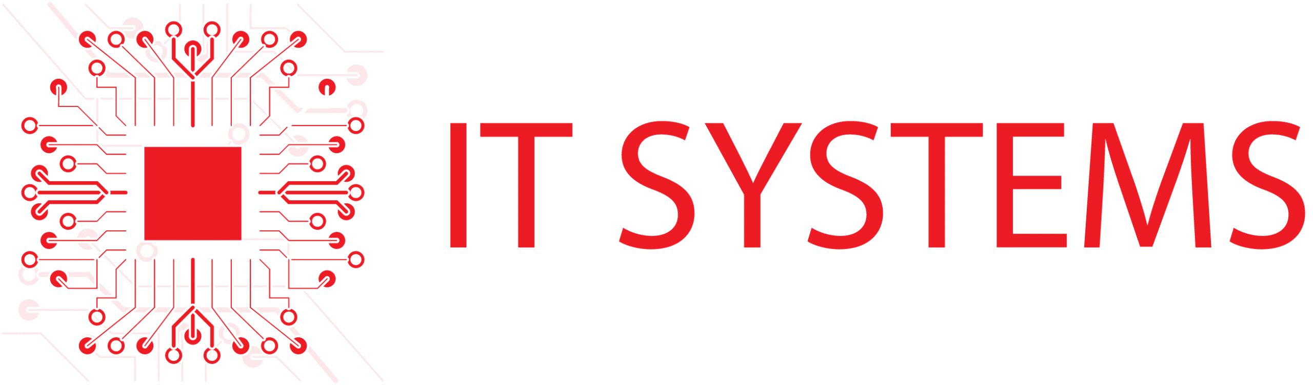IT System